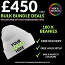 100 BEANIE BUNDLE