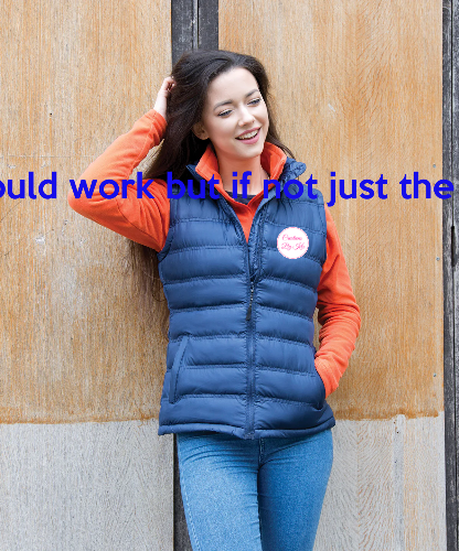Women's Ice Bird Padded Gilet