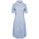 Ladies Healthcare Dress